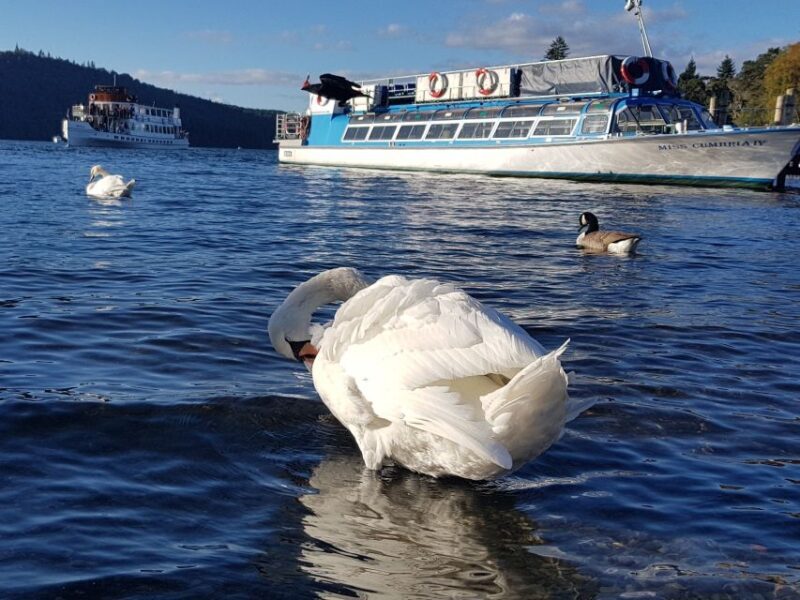 From Liverpool: Lake District Shore Excursion - Practical Details and Comfort