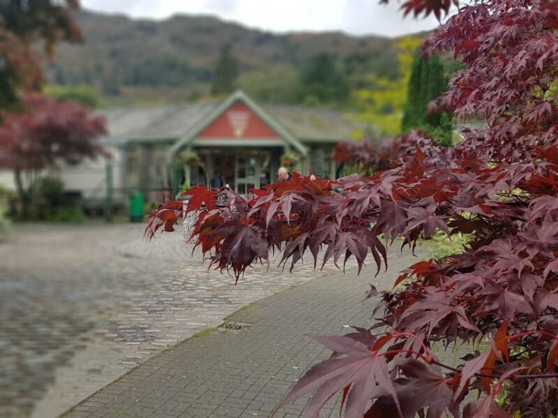 From Liverpool: Lake District Sightseeing Adventure Day Trip - FAQ