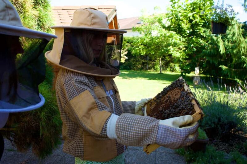 From Ljubljana: All About Bees - FAQ