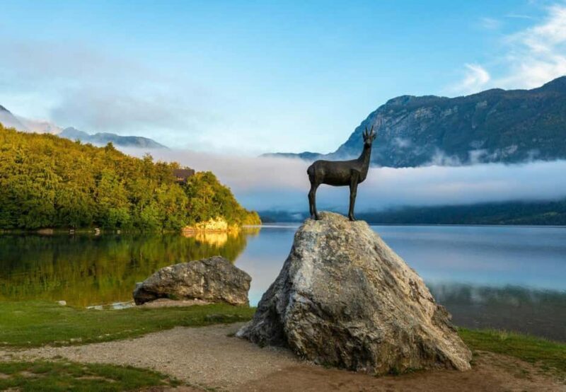 From Ljubljana: Bled & Bohinj Day Trip + Local Picnic Treat - The Introduction to the Tour