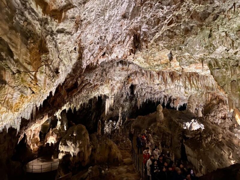 From Ljubljana: Postojna Cave Day Trip - What to Expect from the Postojna Cave Day Trip