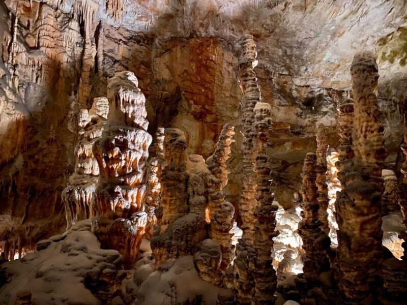 From Ljubljana: Postojna Cave Day Trip - Is This Tour for You?