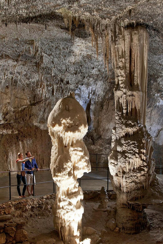 From Ljubljana: Postojna Cave, Predjama Castle, & Piran Tour - Who Is This Tour Perfect For?