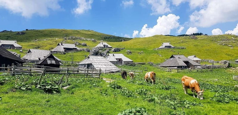 From Ljubljana: Velika Planina Guided Hike - Is It Worth the Cost?