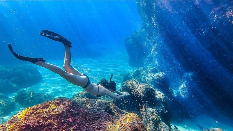 From Lloret de Mar: Fenals Beach Sunrise Kayaking Tour - Key Points