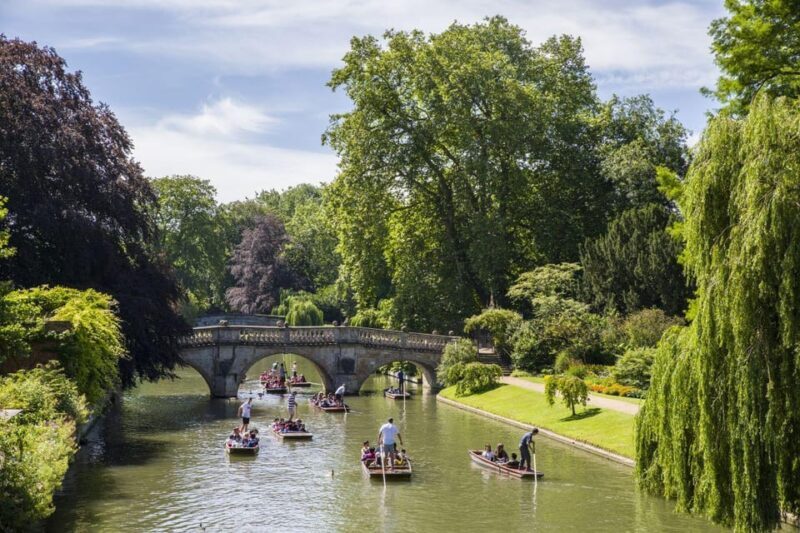 From London: Cambridge and Medieval England Small Group Tour - Authentic Reviews and Realistic Expectations