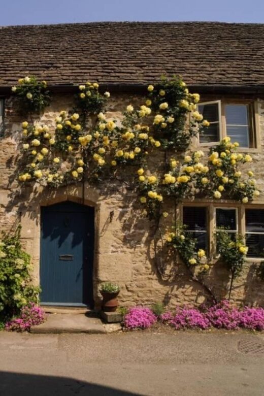 From London: Cotswolds, Country Pub Lunch & Lavender Fields - Exploring the Cotswolds: A Day of Charm and Scenic Beauty