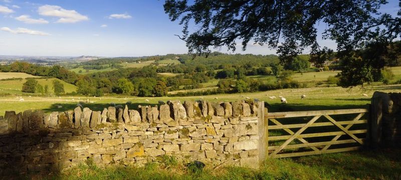 From London: Full-Day Cotswolds Small-Group Tour - Timing and free time: how to actually use your hours