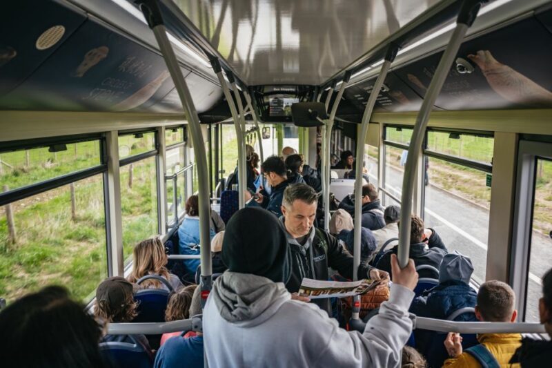 From London: Stonehenge Half-Day Trip with Snack Pack Option - Final Thoughts