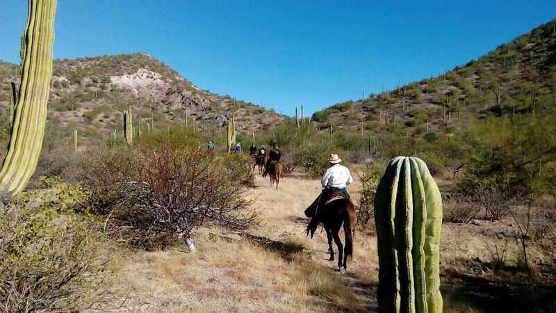 From Loreto: Baja Desert Horseback Riding Tour - FAQs