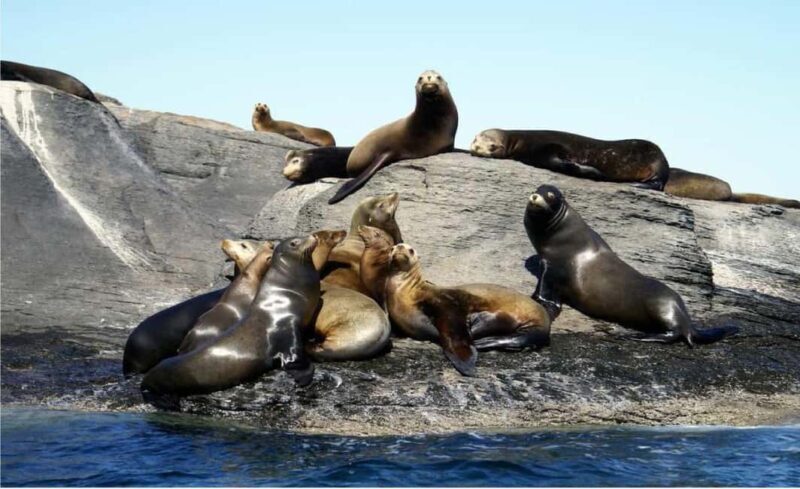 From Loreto: Coronado Island Snorkel - Key Points