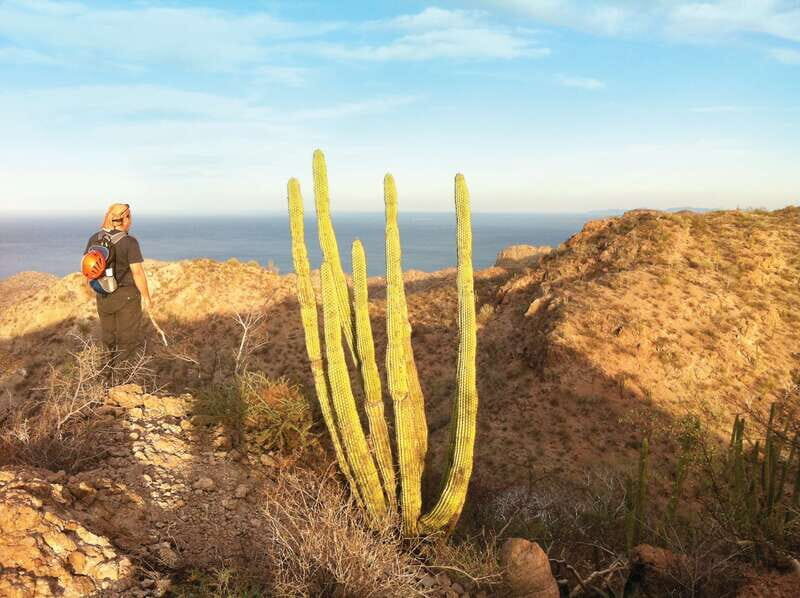 From Loreto: Tabor Canyon Guided Hike - The Real Experience: Insights from Reviews