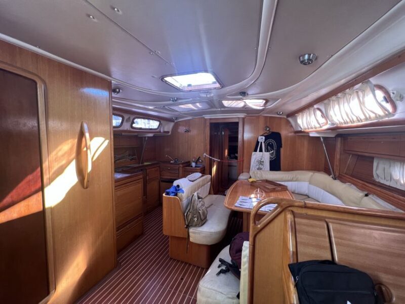 From Los Gigantes: Whale Watching Sailboat Cruise - The Value of the Experience