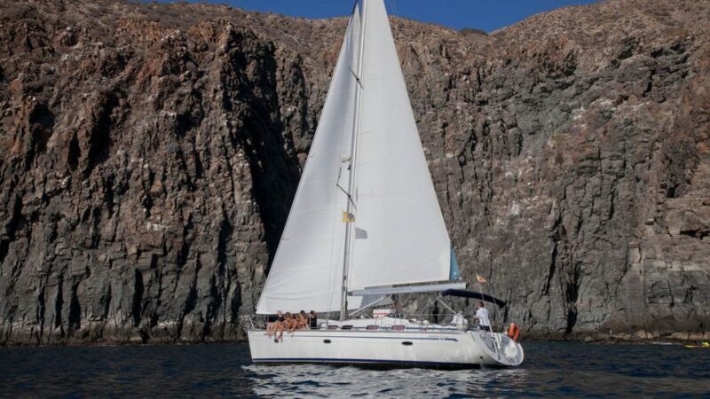 From Los Gigantes: Whale Watching Sailboat Cruise - Final Thoughts