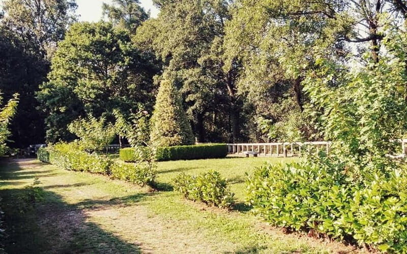 From Lugo: Half-day excursion to the Viladonga Hillfort - Key Points