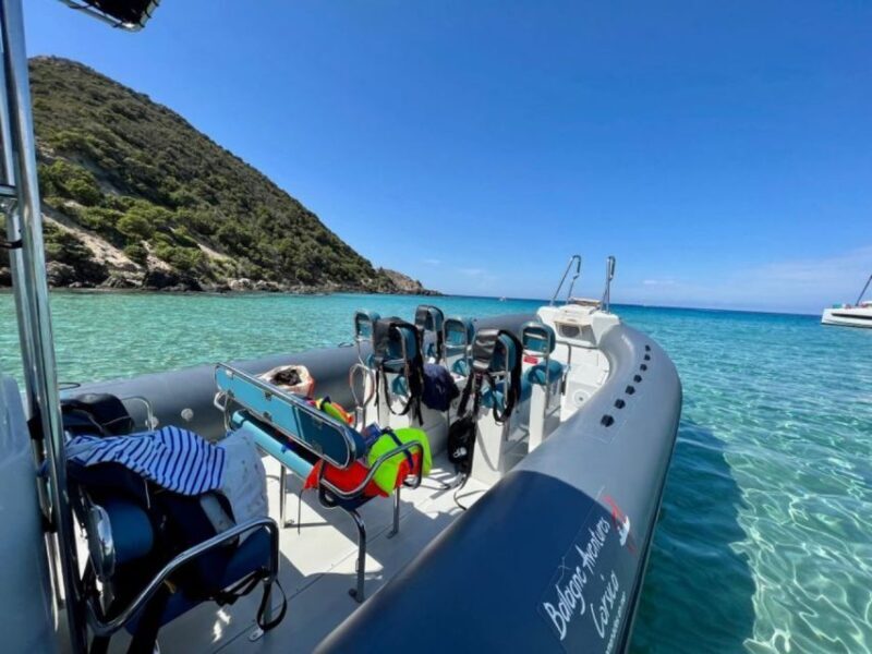 From Lumio: Les Agriates Desert Cruise with swimming - The Practical Side: What You Need to Know