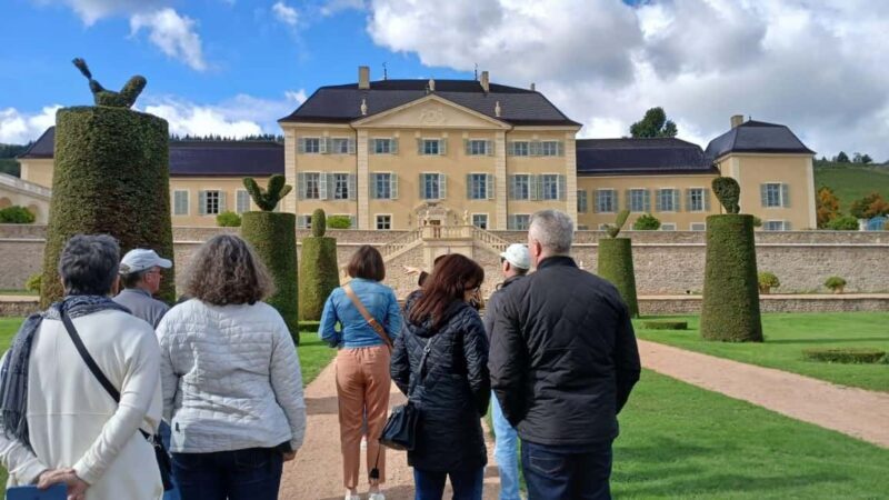 From Lyon : Beaujolais - Pérouges Full Day Shared Trip - Who Is It Best For?