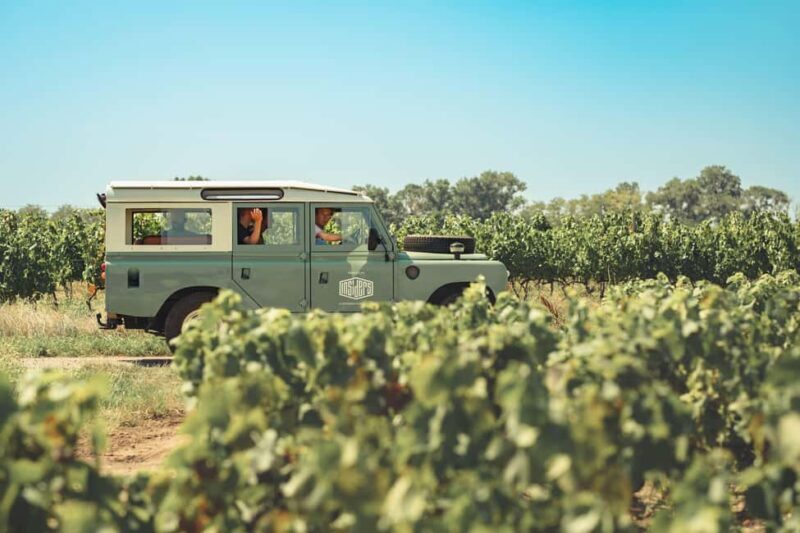 From Lyon : Beaujolais Private Day Tour by Vintage Defender - Who Is This Tour Best For?