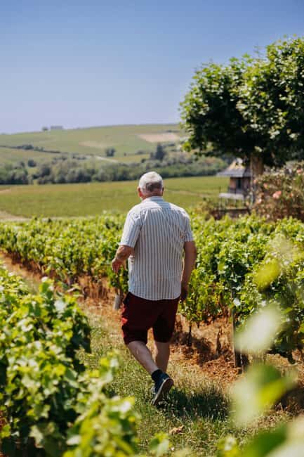 From Lyon: Beaujolais Wine Route Half-Day Tour - What to Expect & What to Bring
