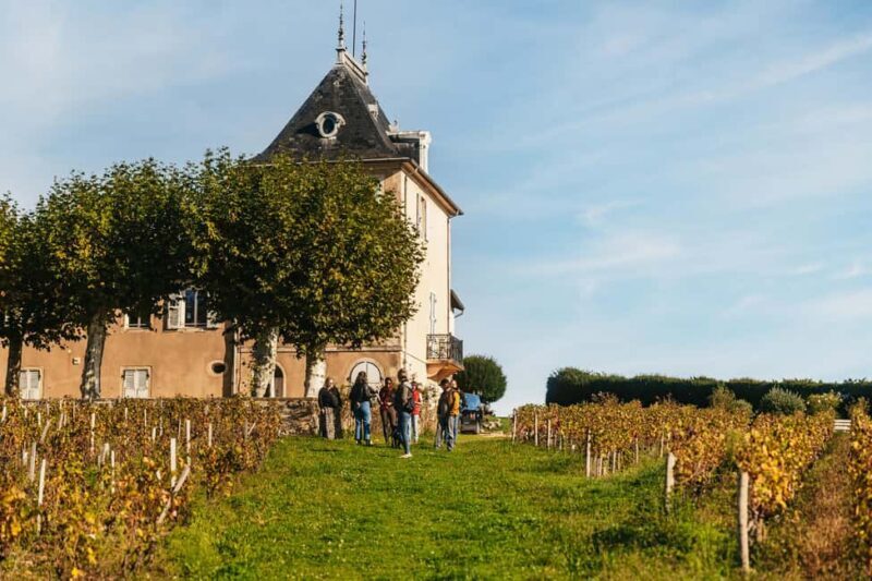 From Lyon: Beaujolais Wine Tour with Tastings - Introduction