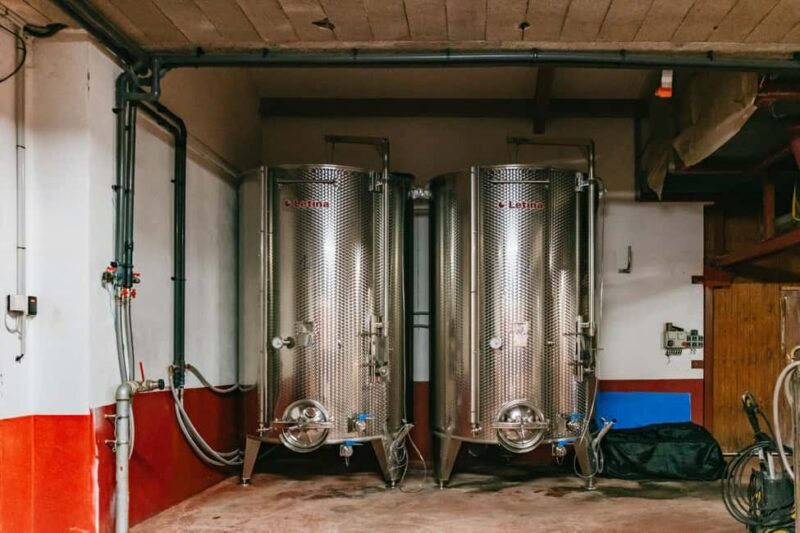 From Lyon: Golden Stones Beaujolais Wine Tasting Tour - Authentic and Educational Experience