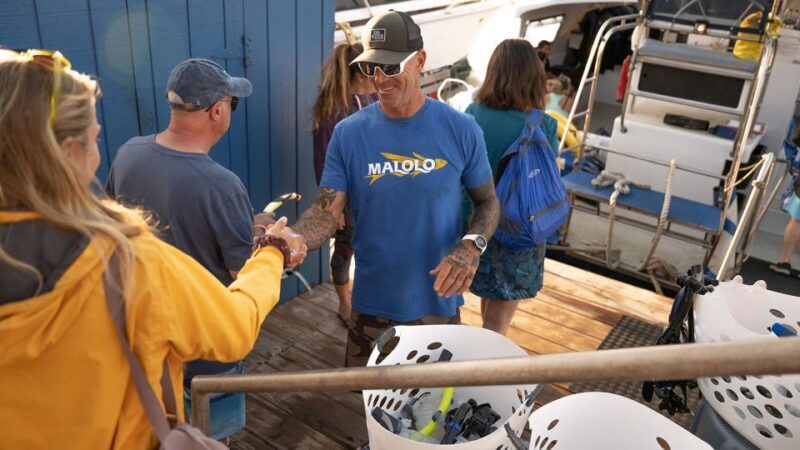 From Ma'alaea: Afternoon Whale Watch Tour Aboard the Malolo - The Experience: What to Expect on the Malolo Whale Watch