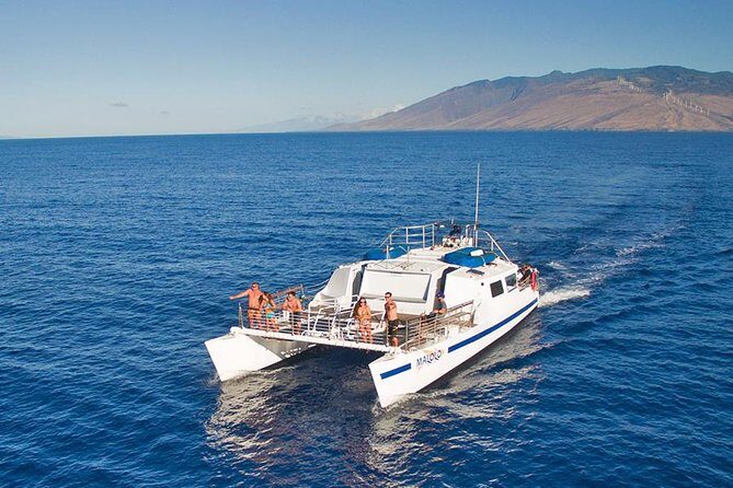 From Ma'alaea Harbor: Whale Watch Cruise Aboard the Malolo - What to Expect on the Whale Watch Aboard Malolo