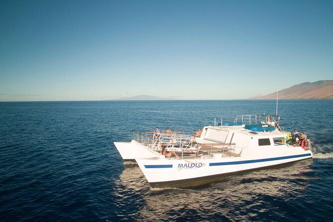 From Ma'alaea Harbor: Whale Watch Cruise Aboard the Malolo - FAQs