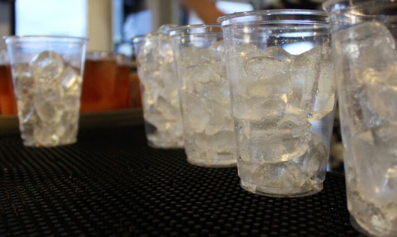 From Ma'alaea: Thanksgiving Dinner Cruise Aboard the Calypso - Key Points