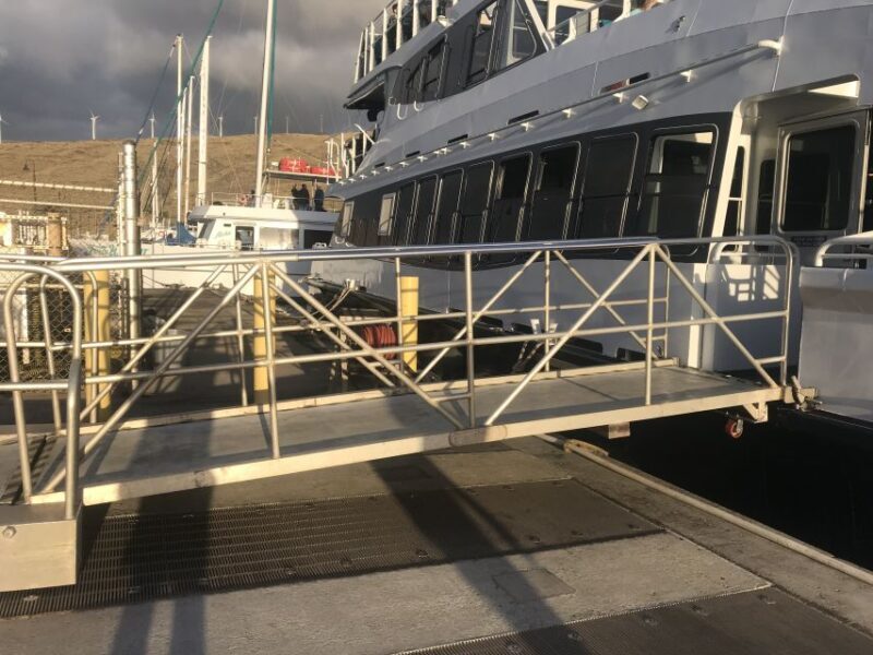 From Ma'alaea: Thanksgiving Dinner Cruise Aboard the Calypso - The Sum Up