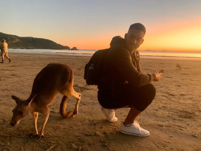 From Mackay: Wallabies on the Beach Sunrise Trip - The Experience in Detail