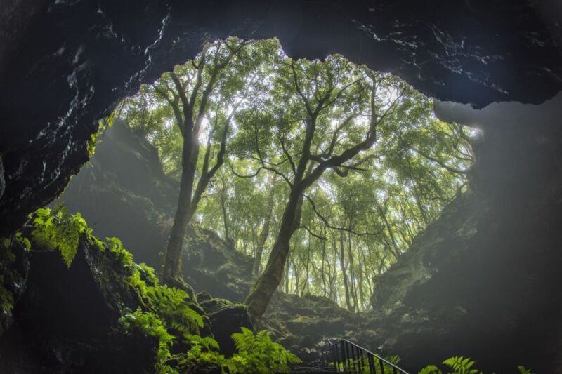 From Madalena: Pico Volcanoes and Lakes Guided Day Tour - Final Thoughts