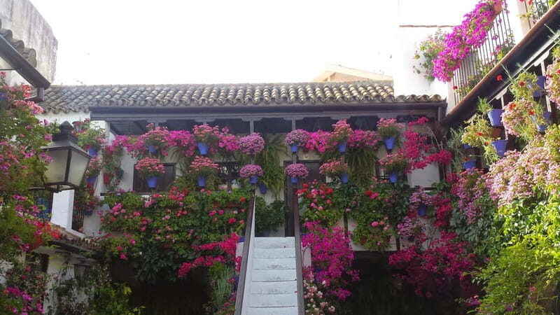 From Madrid: Cordoba and Mosque Day Trip by High-Speed Train - Final Thoughts