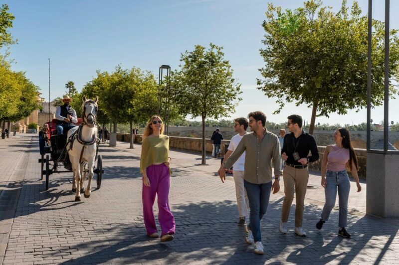 From Madrid: Córdoba Day Tour by Train - FAQs About the Córdoba Day Tour from Madrid