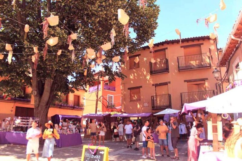 From Madrid: Day Trip to Brihuega Lavender Fields - An Honest Look at the Experience