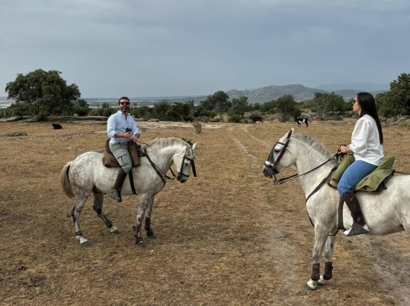 From Madrid: Horseback riding Experience - Key Points