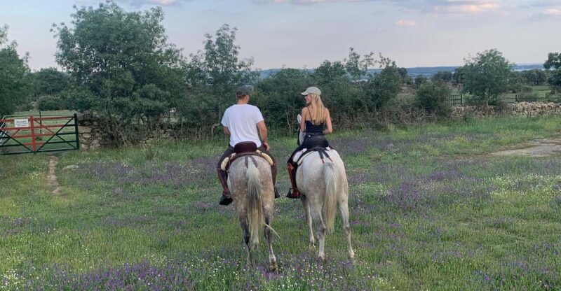From Madrid: Horseback riding Experience - A Detailed Look at the Experience