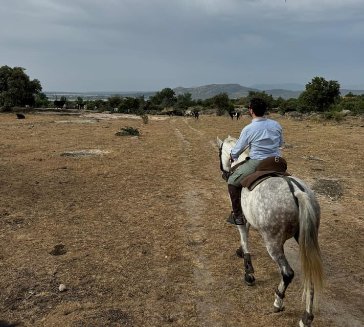 From Madrid: Horseback riding Experience - Practical Tips for Your Ride