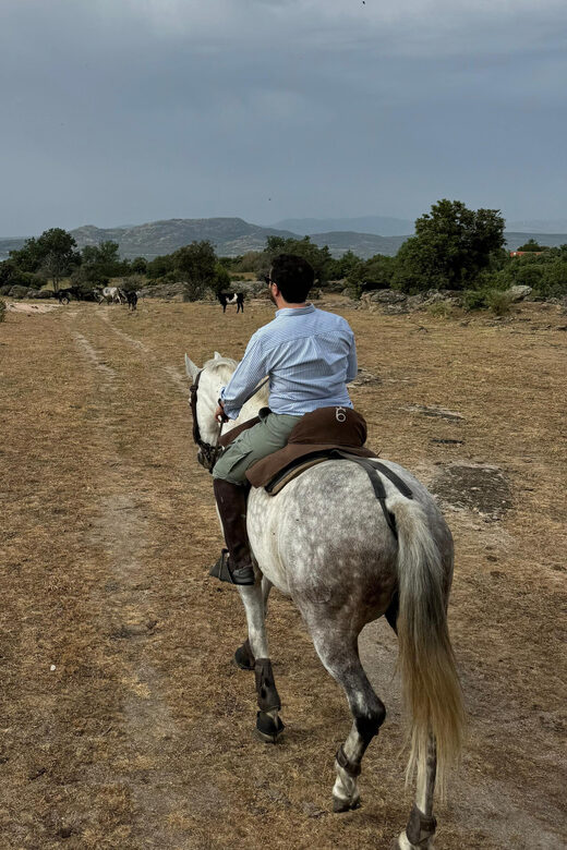 From Madrid: Horseback riding Experience - Final Thoughts
