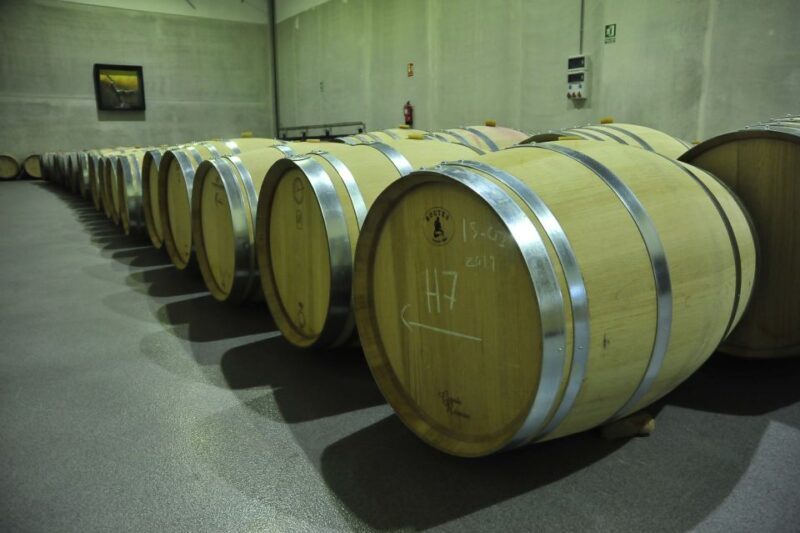 From Madrid: Ribera del Duero Tour of 3 Different Wineries - The Full Experience: What to Expect on the Ribera del Duero Tour