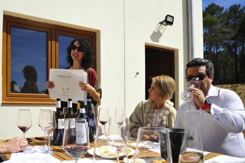 From Madrid: Ribera del Duero Tour of 3 Different Wineries - Who Should Consider This Tour?