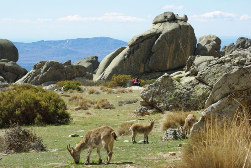 From Madrid: Sierra de Guadarrama Hiking Day Trip - Whats Included and Whats Not