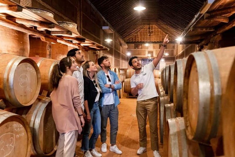 From Madrid: Toledo Guided Tour & Winery Visit with Tasting - A Deep Dive Into the Toledo & Winery Day Trip