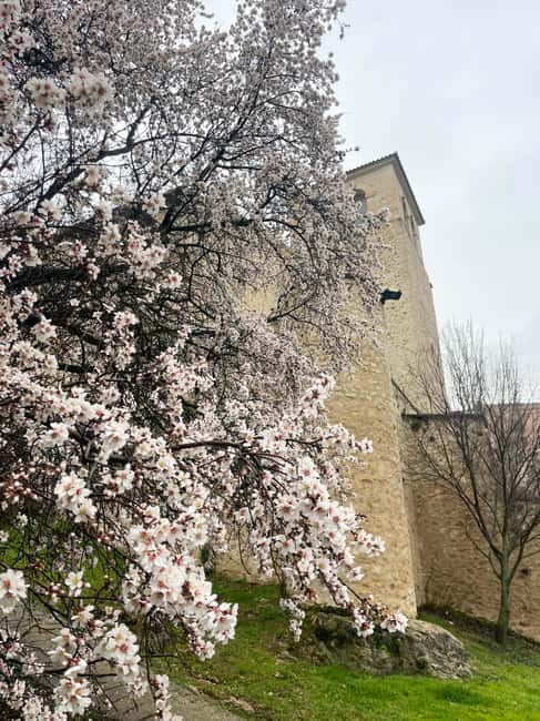 From Madrid: Trip to Cuenca and the Brihuega Lavender Fields - Who Is This Tour Best For?