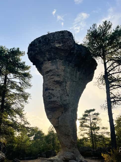 From Madrid: Trip to Cuenca and the Brihuega Lavender Fields - Final Thoughts
