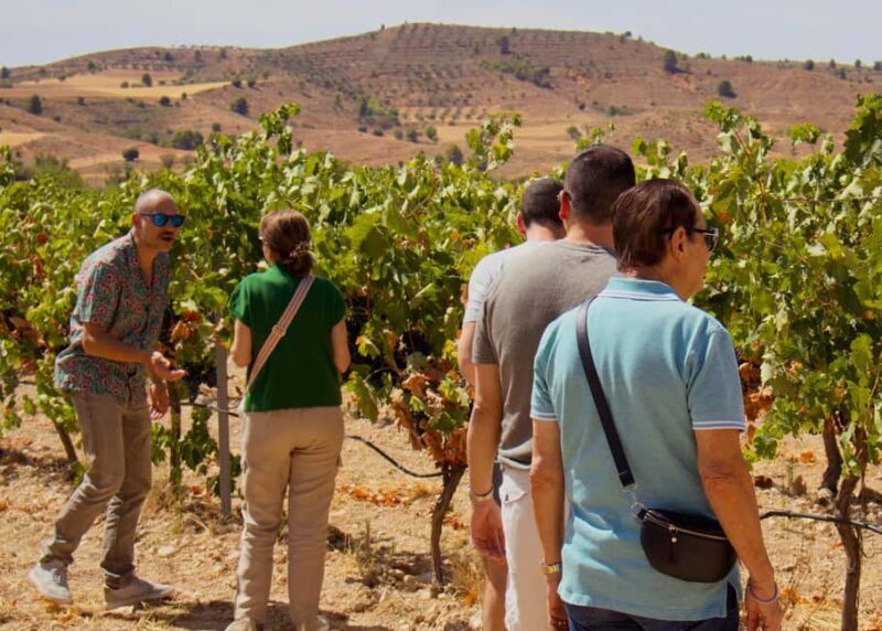 From Madrid: Visit Cuenca and a vineyard in the Spanish Tuscany - What the Experience Feels Like