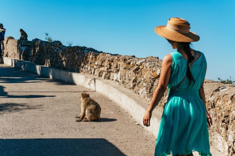 From Malaga and Costa del Sol: Gibraltar Tour - The Journey Begins