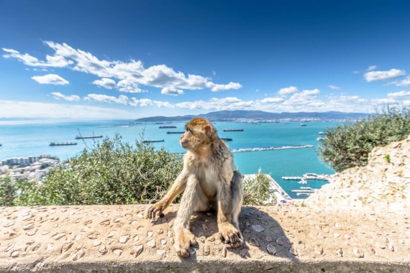 From Malaga and Costa del Sol: Gibraltar Tour - FAQ