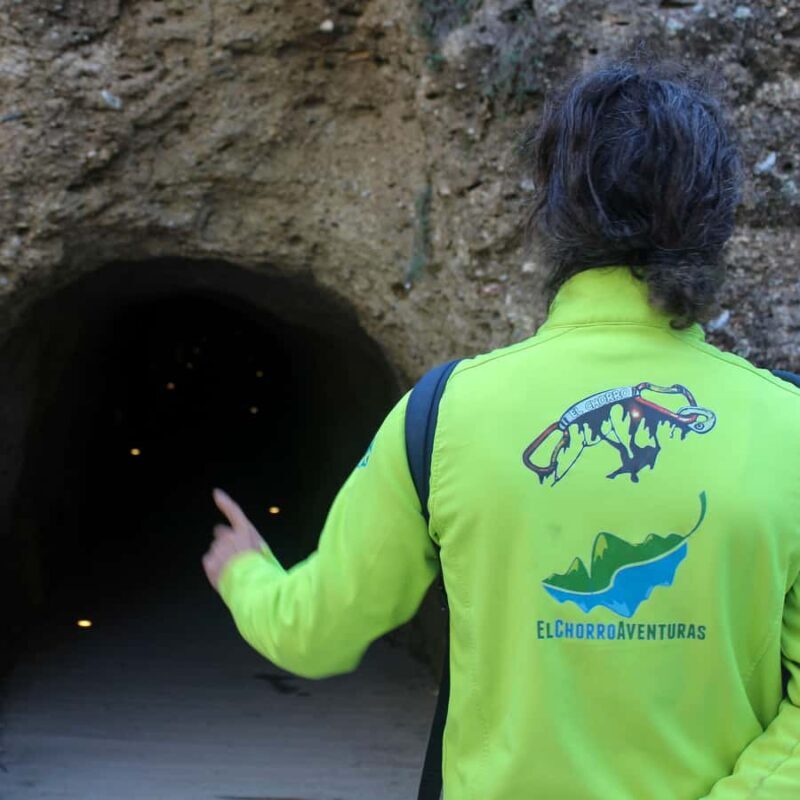 From Malaga: Caminito del Rey all included - Key Points