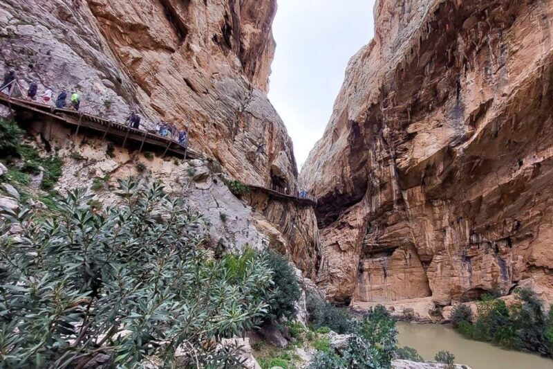 From Málaga: Caminito del Rey Guided Day Trip - Who Will Love This Tour?